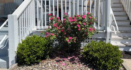 🏖️ Downtown 🐶 Pet Friendly 🐳 2 Bedroom 🐬 Pool 🐚 WiFi 🦞 Beach - 2 blocks