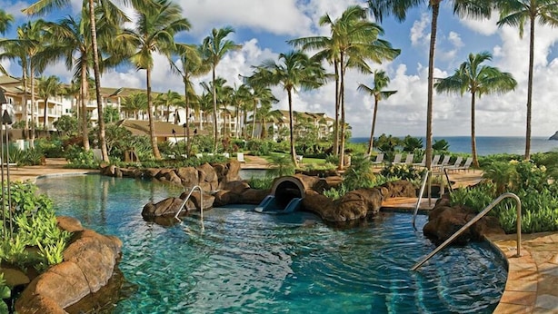 A resort pool with clear water, surrounded by palm trees and a view of the ocean.