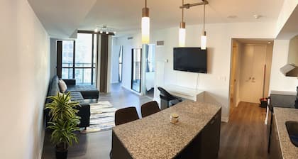 1 bedroom condo with a great view in Toronto downtown