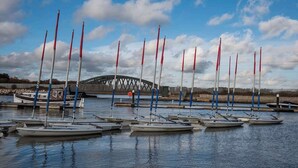 En lystbådehavn med flere sejlbåde i rolige vand, en bro i baggrunden og en klar himmel.