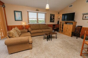 TV, fireplace, DVD player