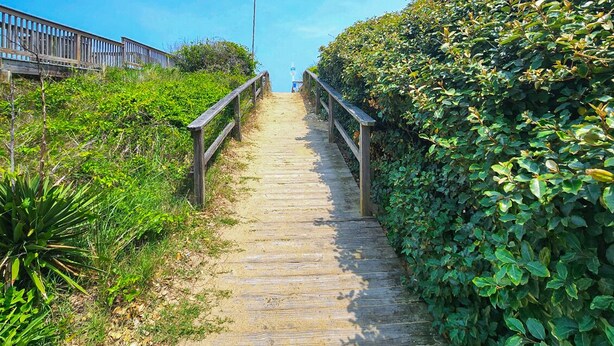 A wooden pathway leading to a building with a railing on one side. - Sandy Pointe -  4 BR Oceanside Home in Duck w/Private Pool, Hot Tub, Dogs Allowed (Duck)