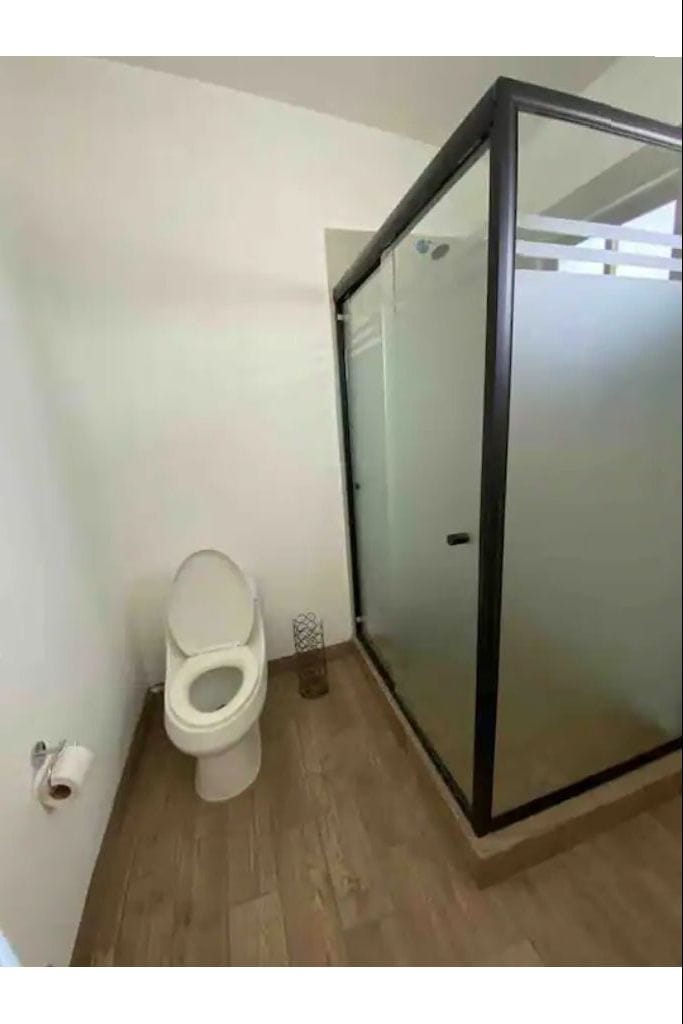 Une salle de bain avec des toilettes, une douche à parois en verre et un plancher en bois.