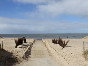 A sandy beach path leading to the sea with sparse vegetation on either side. - FB 05.10 - 4 person vacation apartment with modern furnishings, swimming pool and (Cuxhaven)