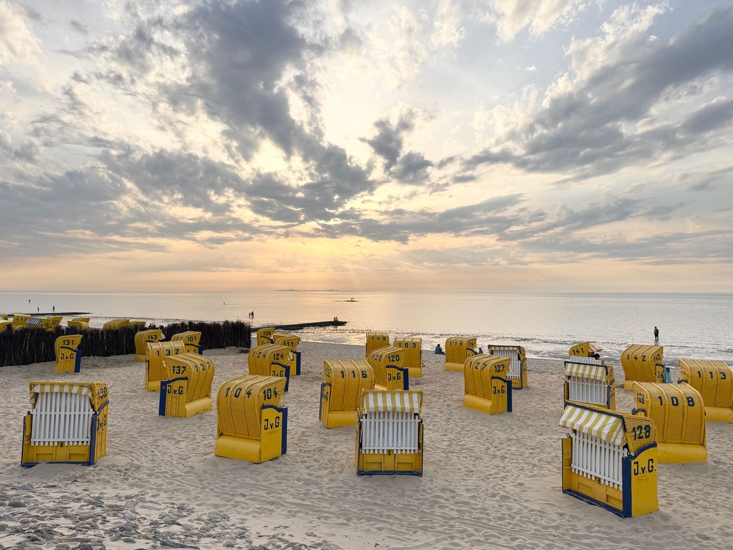 Ein Strand mit gelben Liegestühlen und Sonnenschirmen, die in Reihen angeordnet sind.