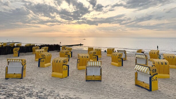 A beach with yellow beach chairs and umbrellas arranged in rows.