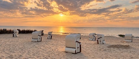 A beach with lounge chairs arranged for sunbathing, a clear sky, and the ocean in the background.