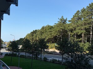 Uitzicht op een weg met bomen en een zebrapad.