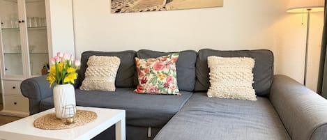 テレビ、卓球台、ステレオ