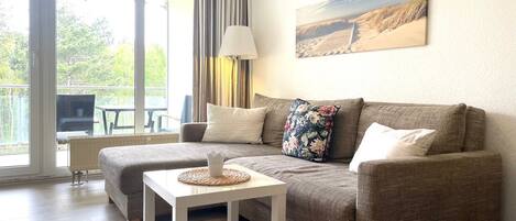 Télévision, table de tennis de table, chaßne hi-fi