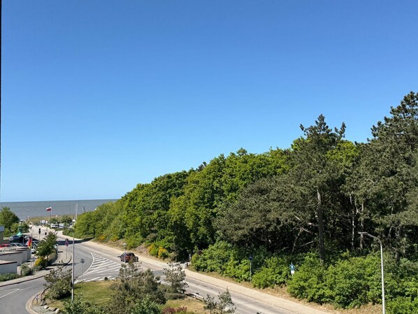 Imagen sin descripción, 1 de 19, botón