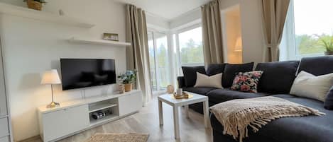 テレビ、卓球台、ステレオ