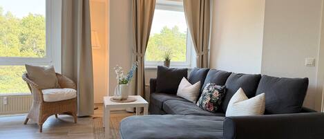 Télévision, table de tennis de table, chaßne hi-fi