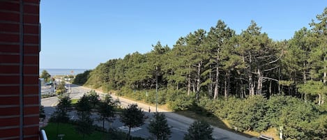 A residential area with a road, trees, and a clear sky.