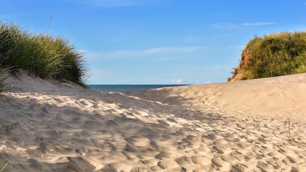 A sandy beach with dunes and sparse vegetation. - A3.3 - Bright vacation apartment, close to the beach for up to 7 people - House (Cuxhaven)