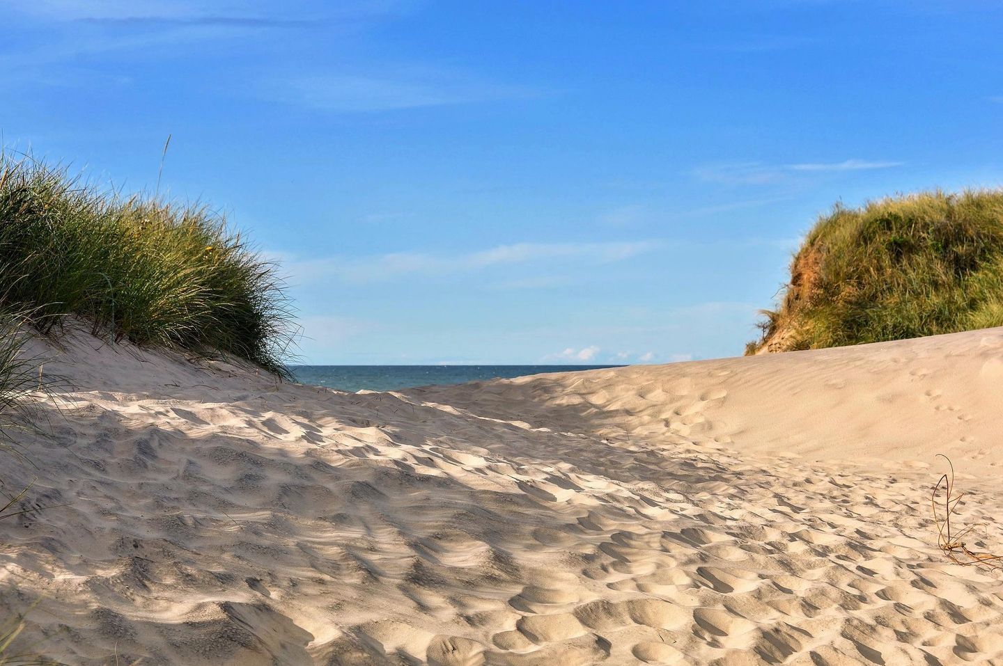 A sandy beach with dunes and sparse vegetation.