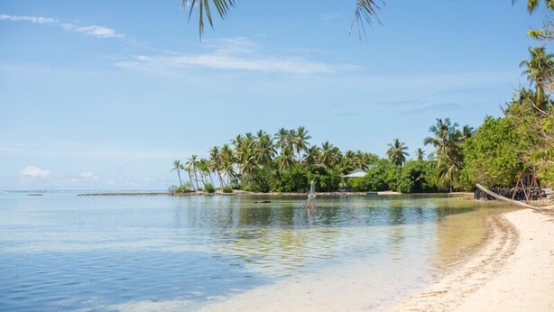 Una playa con aguas cristalinas, palmeras y una orilla arenosa.