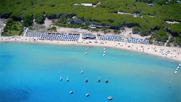 An aerial view of a beach with numerous boats and a large number of beach umbrellas. - Le Mimose - Two-Room Apartment (Campo nell'Elba)