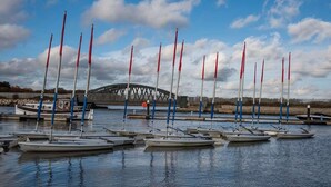 Een jachthaven met meerdere zeilboten afgemeerd, een brug op de achtergrond en rustig water.