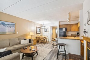 Condo, 1 King Bed with Sofa bed (Pinnacle D05) | Living area - Pinnacle D05 (Killington)