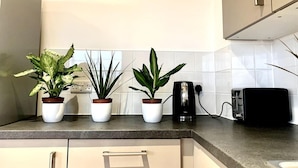 Cozinha com quatro plantas em vasos sobre o balcão, uma cafeteira e uma torradeira.