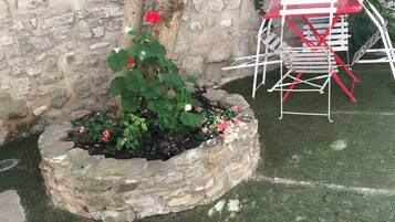 Terrein van de accommodatie