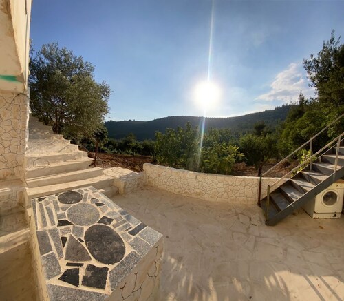 The Oaks Farm, near Abu Mahmoud Rock Clift and on the Jordan trial