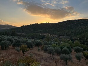 Pool - The Oaks Farm, near Abu Mahmoud Rock Clift and on the Jordan trial (Anjarah city)
