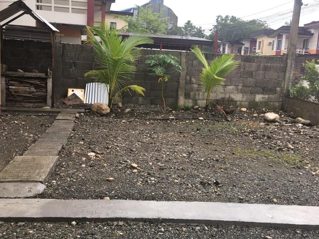A garden area with palm trees, a concrete path, and a brick wall.
