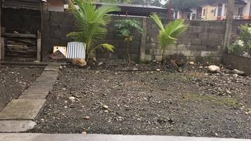 A garden area with palm trees, a concrete path, and a brick wall.
