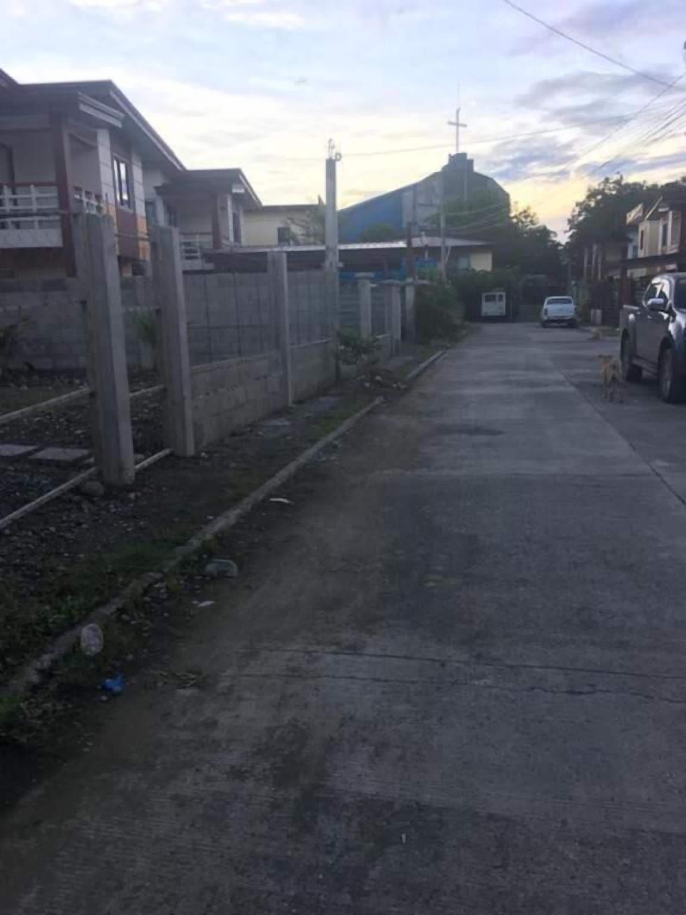 A residential street with houses on both sides, a parked car, and a dog on the sidewalk.