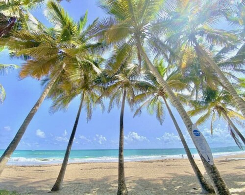 Oceanfront 2 Bedroom + Pool + Beach + Balcony + Parking