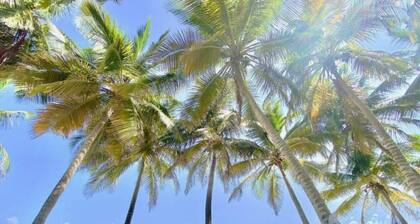 Oceanfront 2 Bedroom + Pool + Beach + Balcony + Parking