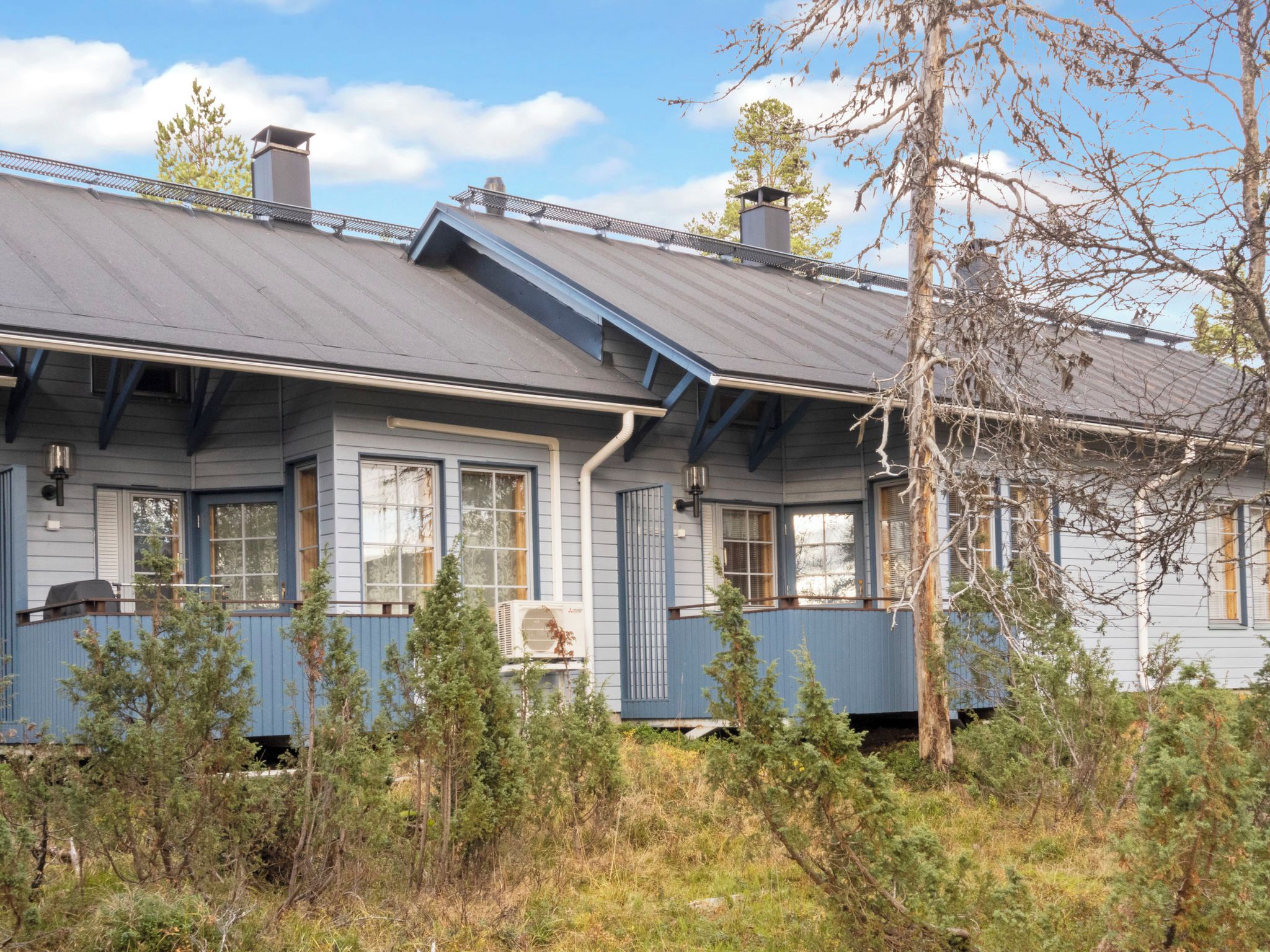 Eksteriør