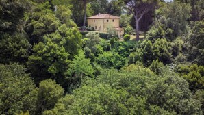Une villa isolée, entourée d’une forêt dense.