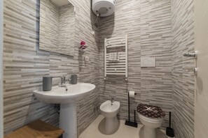 Shower, hair dryer, bidet, towels