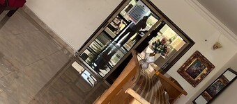 塔科拉迪Animens酒店