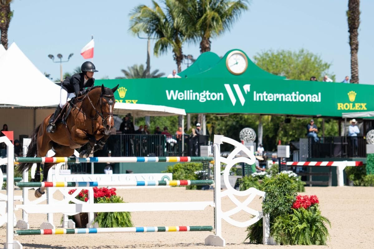 A horse jumping over an obstacle at a sporting event.