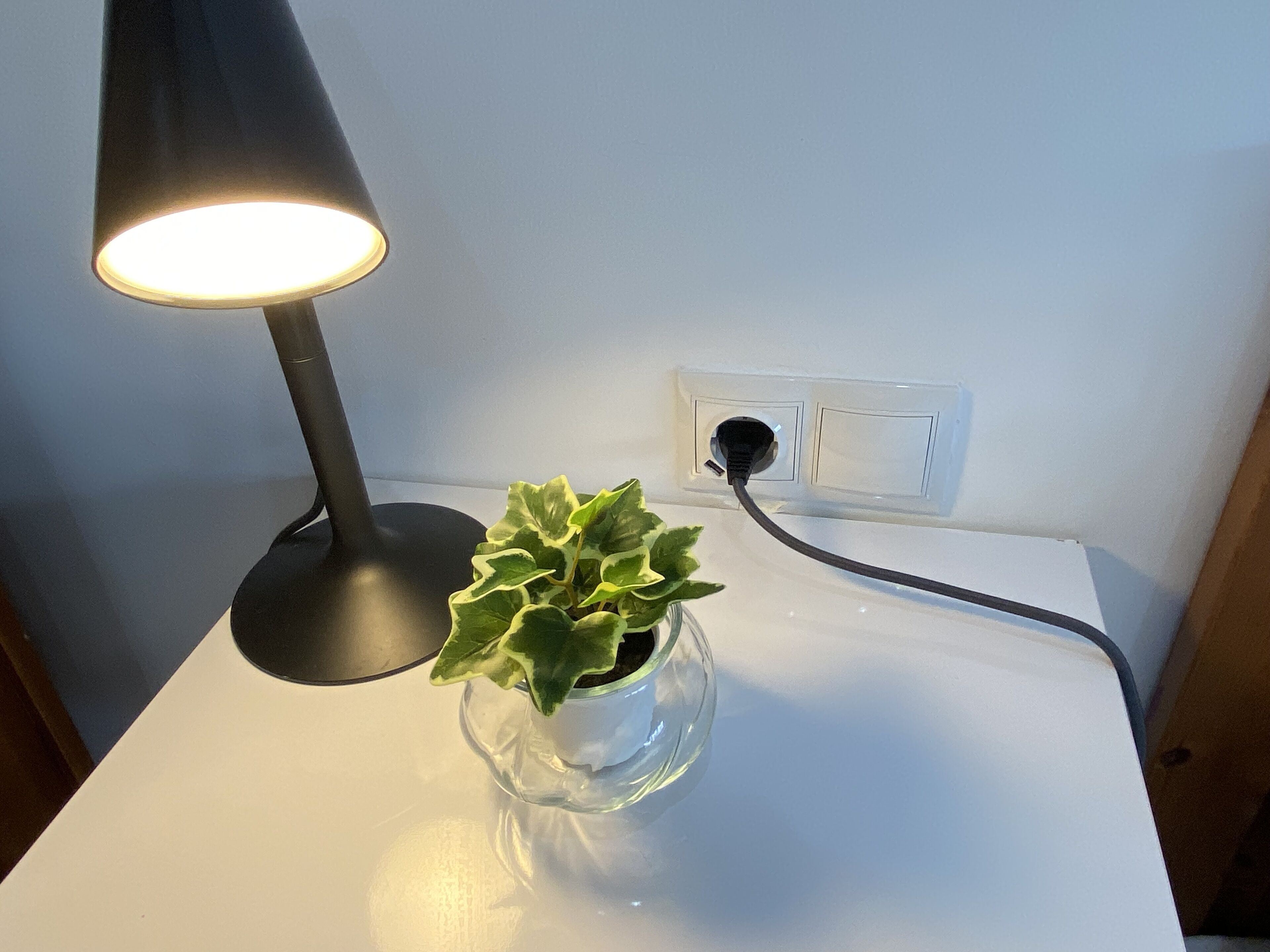A desk lamp, a potted plant, and an electrical outlet on a white surface.