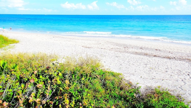 A beach with clear blue water and a sandy shore. - POSHPADZ -OceanView Villa-Resort Complex, Penthouse, Sleeps 4, Walk to Beach (Jupiter)