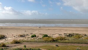 A beach with a sandy shore, a fence, and sparse vegetation.