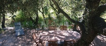 Cosy house, nestled in nature, 5 minutes from the center
