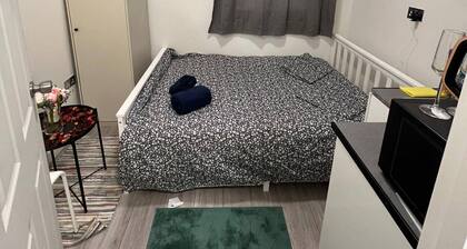 Lovely Apartment Close to Acton Central Station