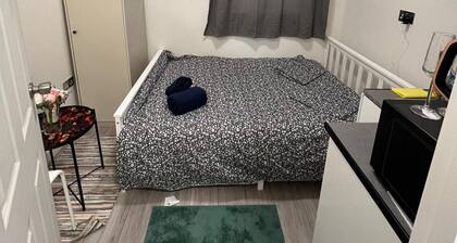 Lovely Apartment Close to Acton Central Station