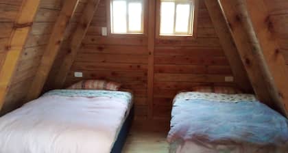 Cabin for rent close to the hot springs in puyehue