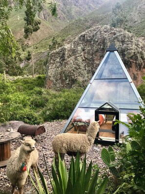 Luokittelematon kuva, 3 kautta 37, painike