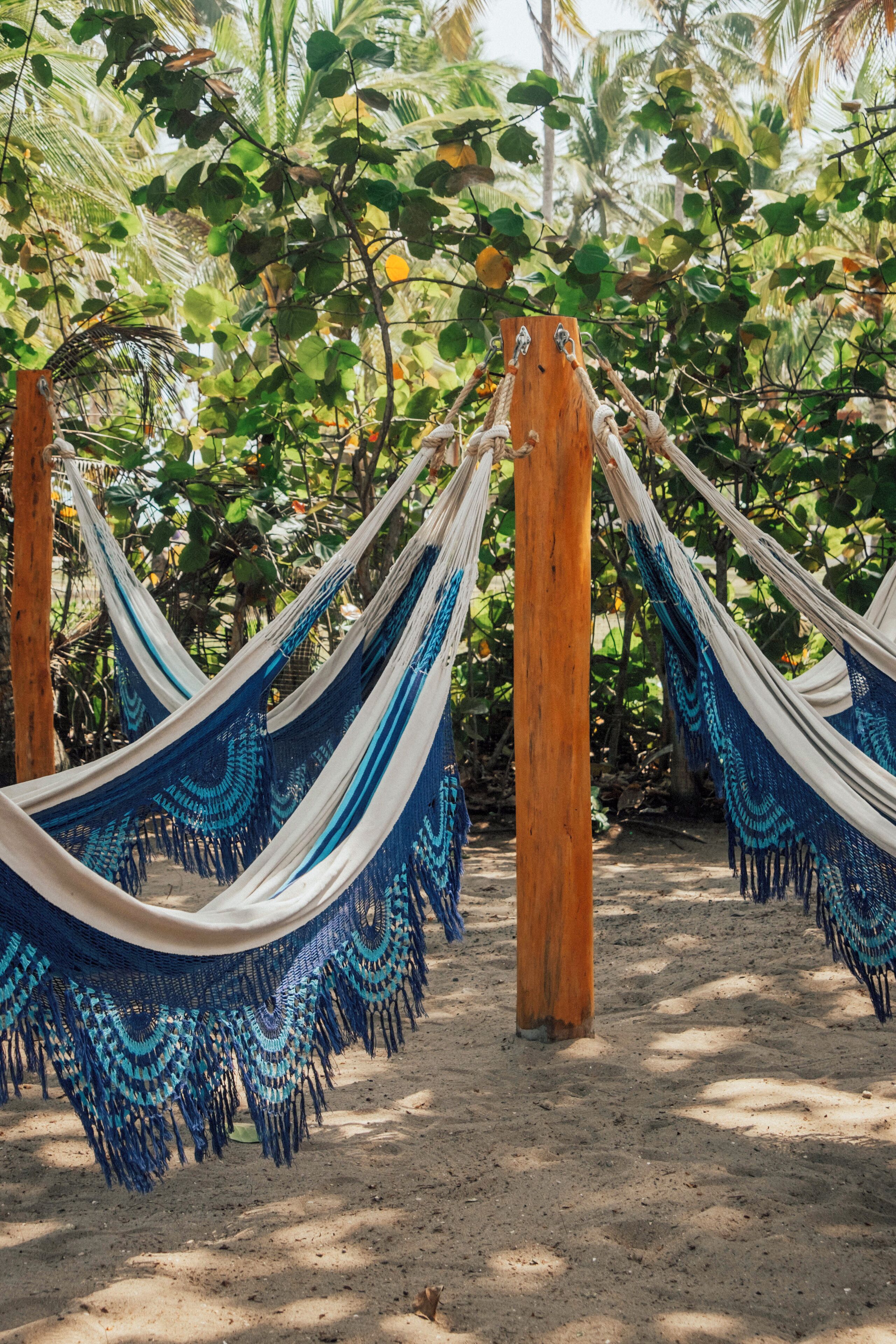 A hammock set up between wooden posts in a natural setting with dense foliage in the background.