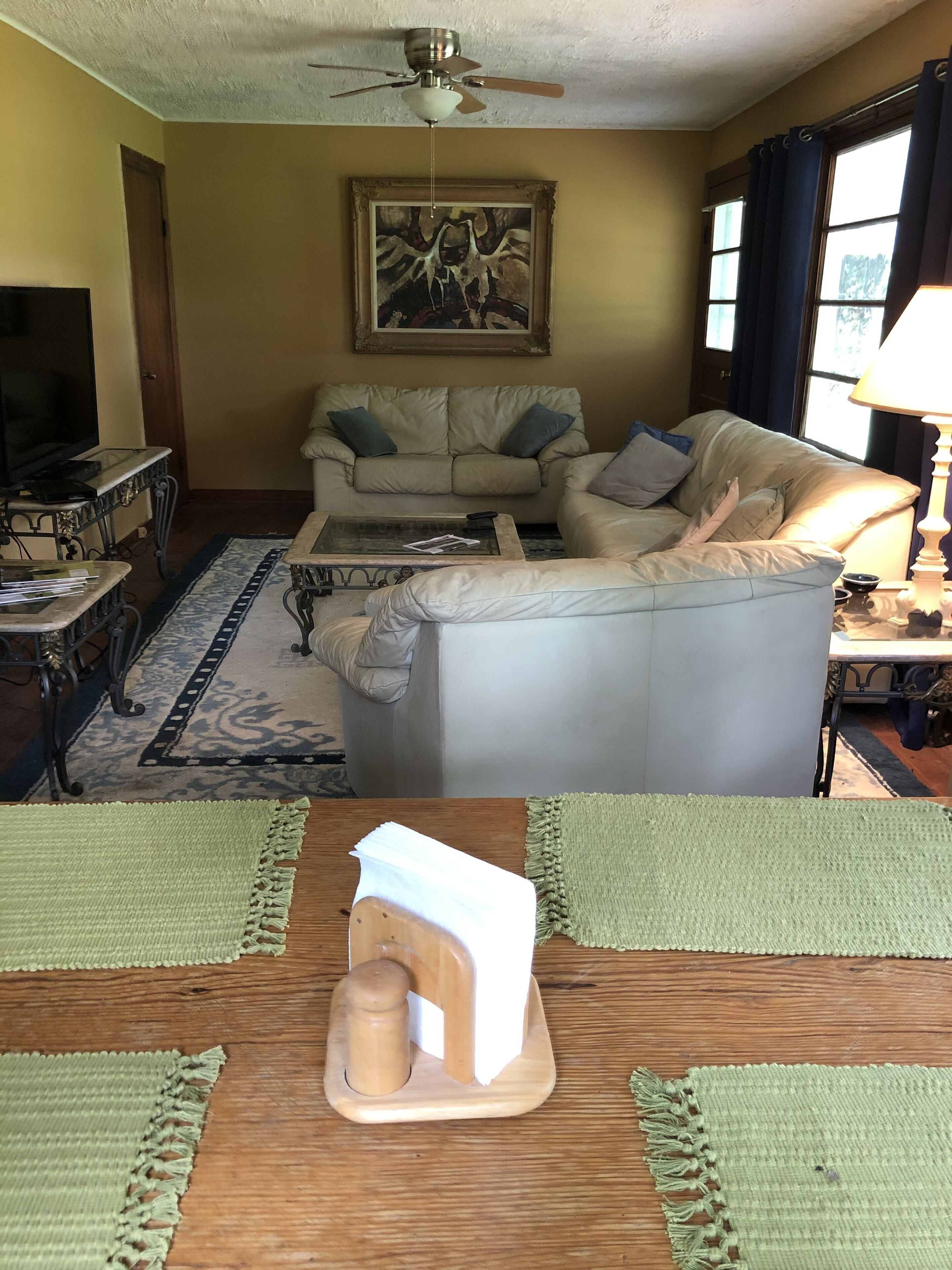 智能电视、壁炉