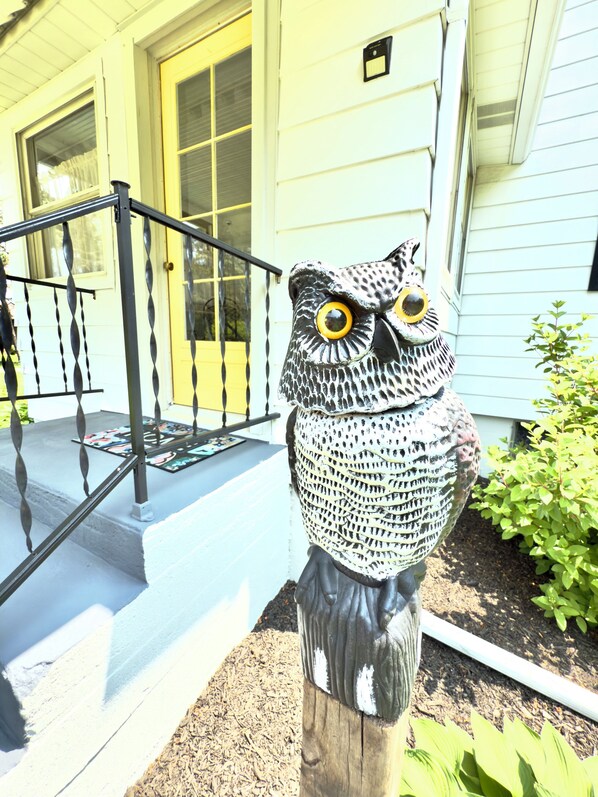 Détail de l’extérieur