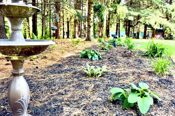 Àrea exterior de l'allotjament